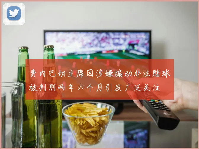 费内巴切主席因涉嫌煽动非法赌球被判刑两年六个月引发广泛关注